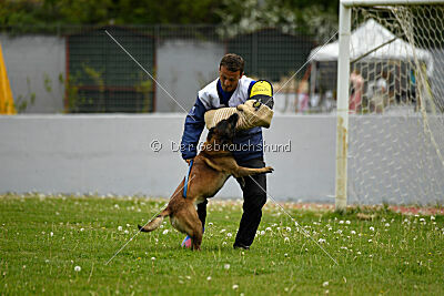Patriot van de Berlex-Hoeve