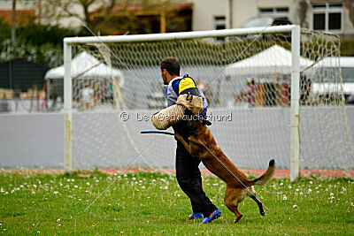 Patriot van de Berlex-Hoeve