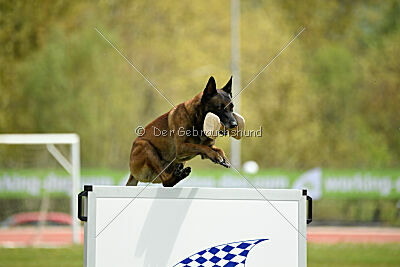 Patriot van de Berlex-Hoeve