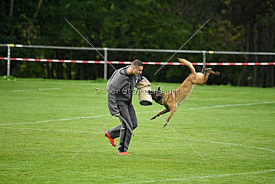 Pearl vom Kistenstein