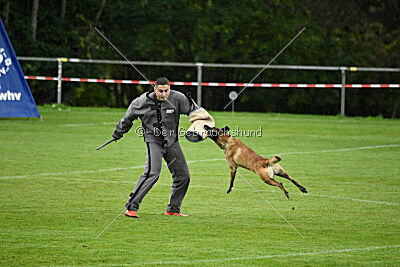 Pearl vom Kistenstein