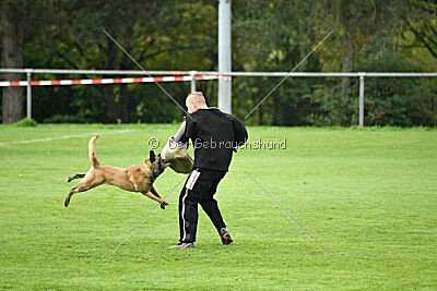 Pearl vom Kistenstein