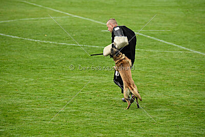 Pearl vom Kistenstein