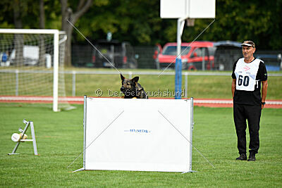 Peersy von der Lobdeburg