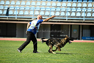 Pele Sabag K9