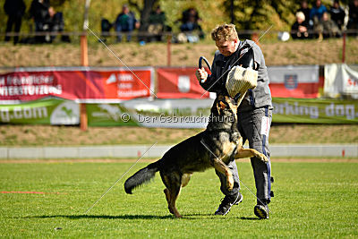 Peppino vom Heidhof