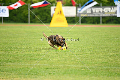 Pep's des Elflines de Gaelic
