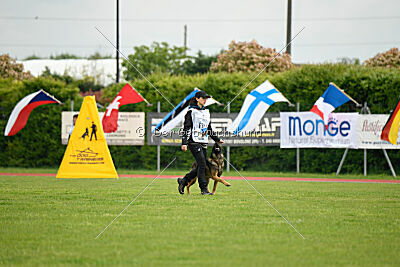 Pep's des Elflines de Gaelic