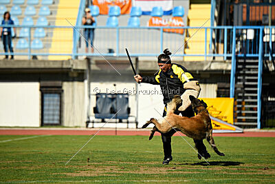 Perfect Rocket de la Rouquine