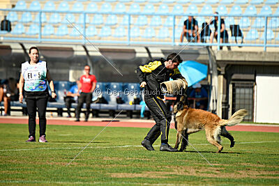 Perfect Rocket de la Rouquine