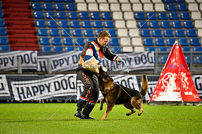 Perro von der schwarzen Natter