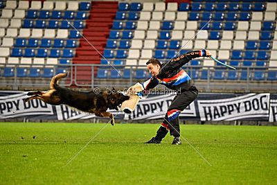 Perro von der schwarzen Natter