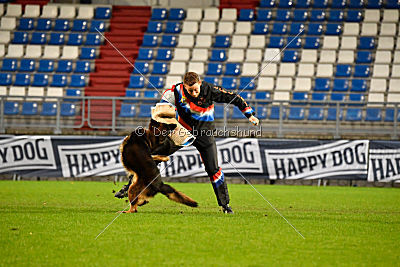 Perro von der schwarzen Natter