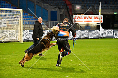 Perro von der schwarzen Natter