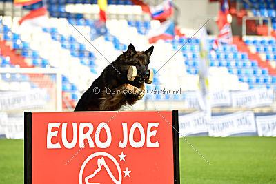 Perro von der schwarzen Natter