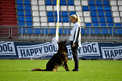 Perro von der schwarzen Natter