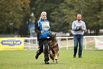 Perro von der schwarzen Natter