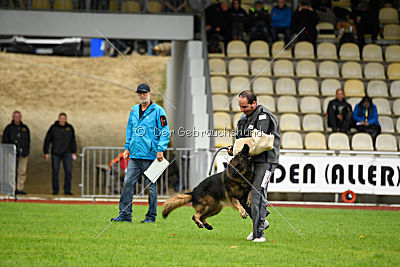 Perro von der schwarzen Natter