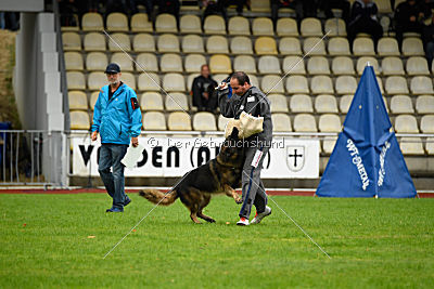 Perro von der schwarzen Natter