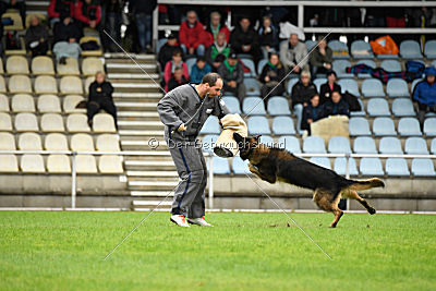 Perro von der schwarzen Natter