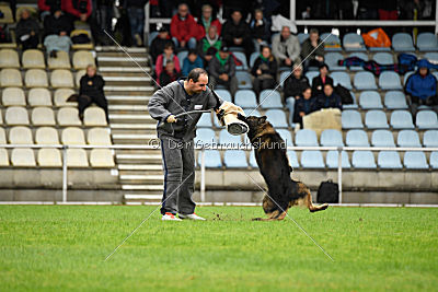 Perro von der schwarzen Natter