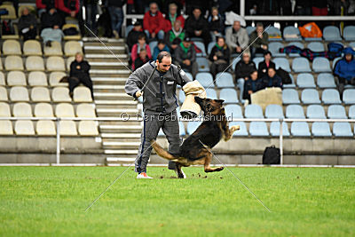 Perro von der schwarzen Natter