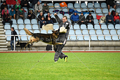 Perro von der schwarzen Natter