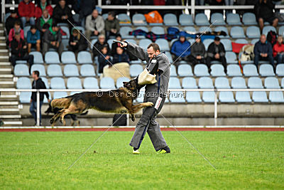 Perro von der schwarzen Natter