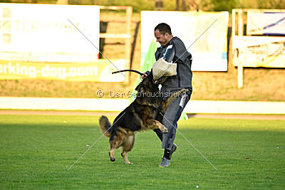 Perro von der schwarzen Natter