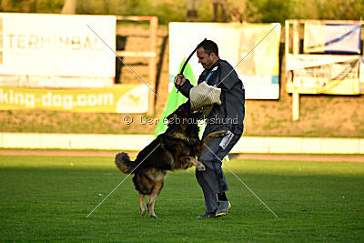 Perro von der schwarzen Natter