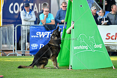 Perro von der schwarzen Natter