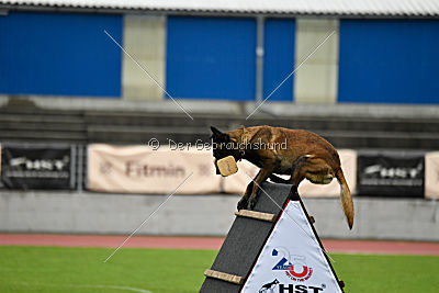 Phantom Malý Lumpík