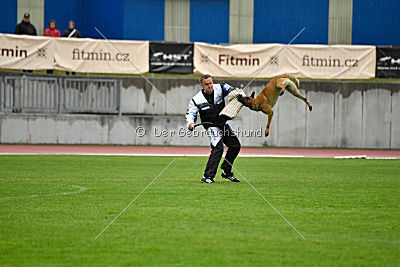 Phenix de Orelav