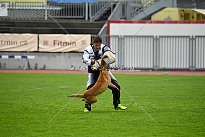 Phenix de Orelav