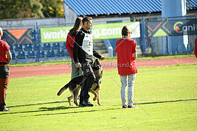 Phil vom Kämpferherz