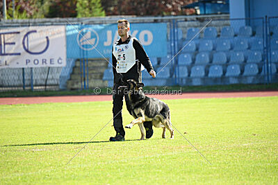 Phil vom Kämpferherz