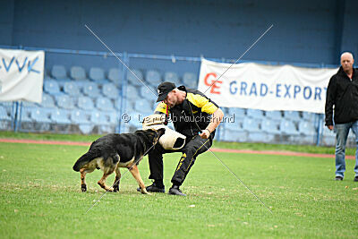 Phil vom Kämpferherz