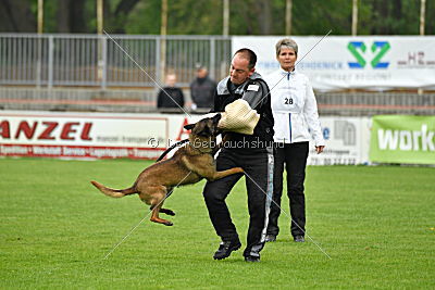 Piet (Reiter)