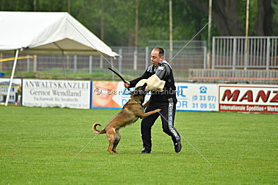 Piet (Reiter)