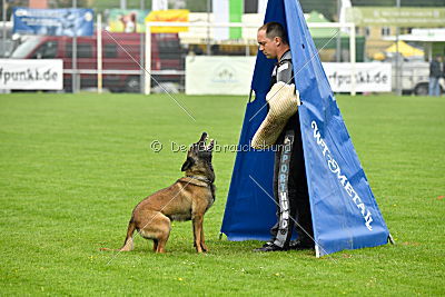 Piet (Reiter)