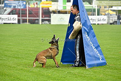 Piet (Reiter)