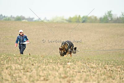 Pirate Du Domaine Jeff