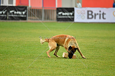 Plus van het Dreiland