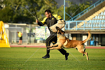 Plus van het Dreiland