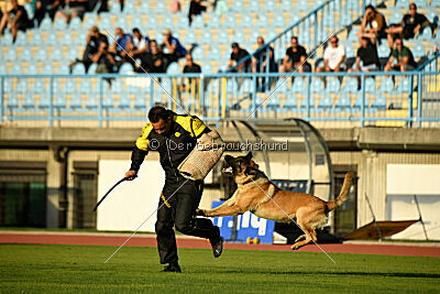 Plus van het Dreiland