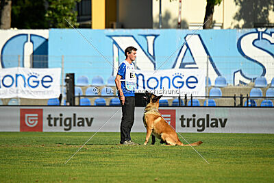 Plus van het Dreiland