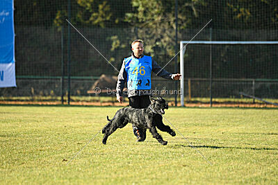 Pontifex Maximus von Blackmoore