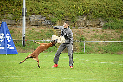 Primus vom Drachenherz