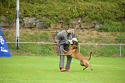 Primus vom Drachenherz