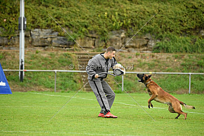 Primus vom Drachenherz